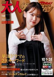 月刊大人ザテレビジョン　2024年11月号 サムネイル
