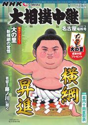 大相撲中継 サムネイル