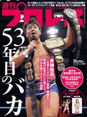 週刊プロレス (2024年11月13日号) サムネイル