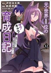 元・世界１位のサブキャラ育成日記　～廃プレイヤー、異世界を攻略中！～　（１２） サムネイル