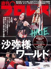 週刊プロレス (2025年2月19日号) サムネイル