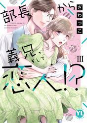 部長から義兄、そして恋人!?【単行本版】III【電子書店限定特典付き】 サムネイル
