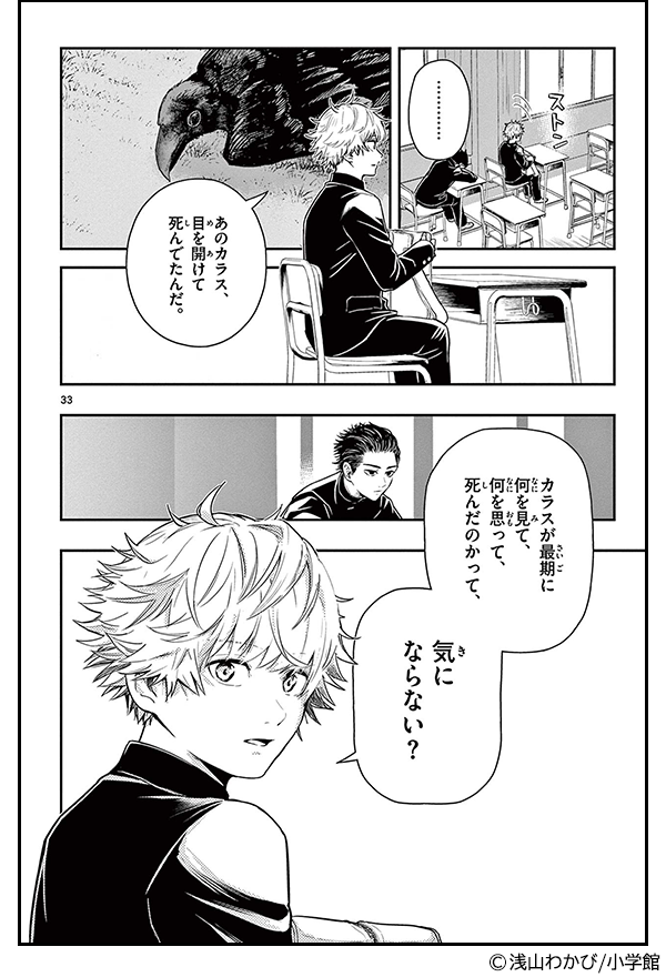 小学館 10巻以内おすすめ男性コミック